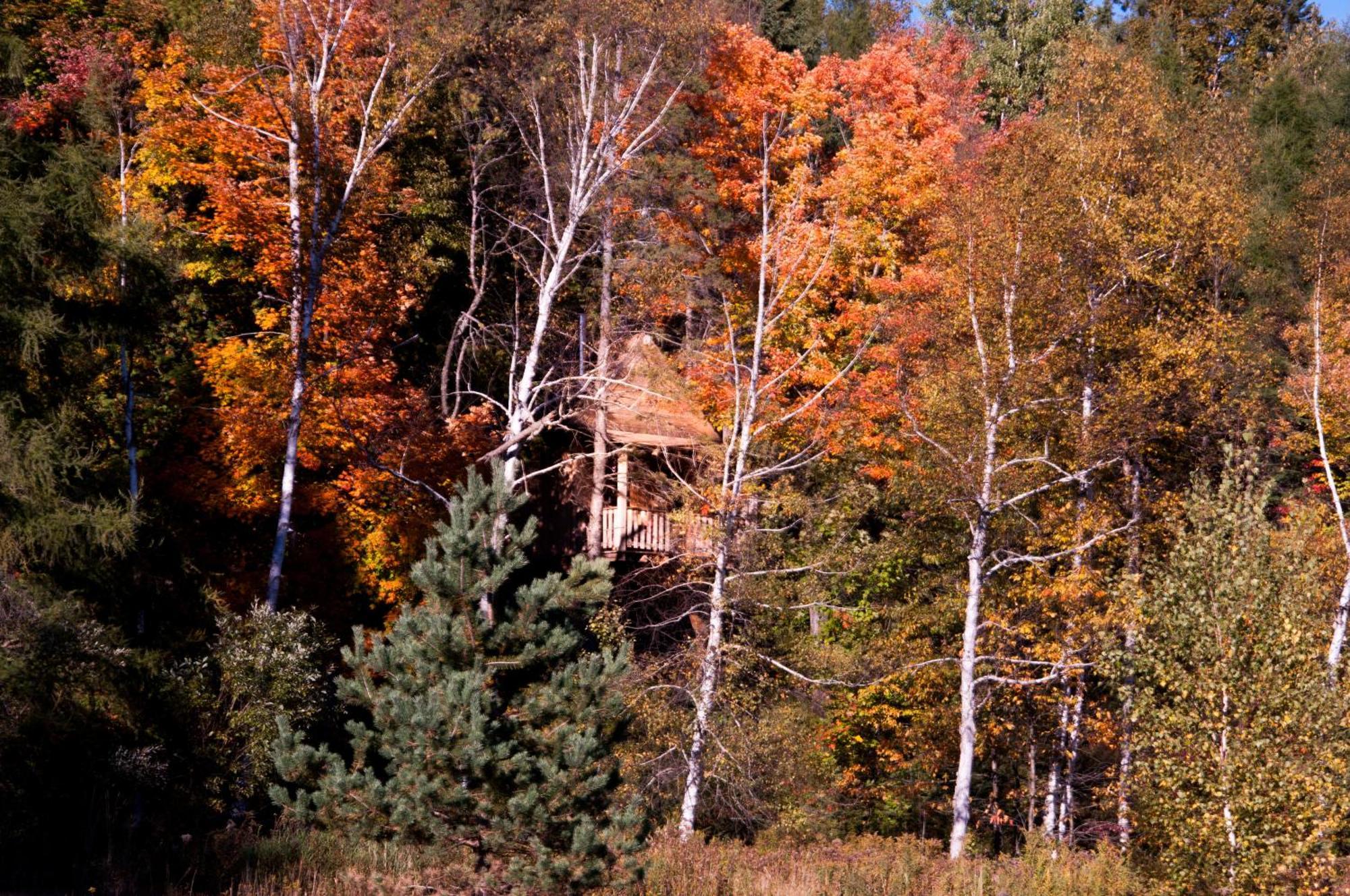 Les Cabanes Du Trappeur Wentworth-Nord Exterior photo